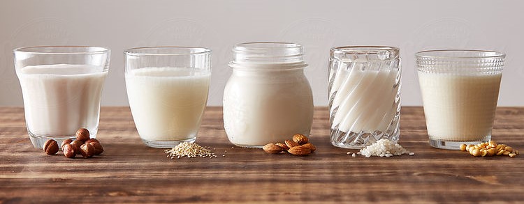 Le succès des laits végétaux : on vous dit tout sur ces alliés nutrition !  — Alterfood